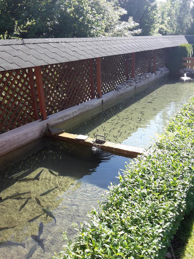Penzion Soltis Liptovske Revuce Extérieur photo